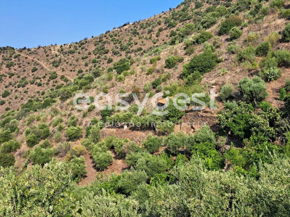 Terreno para Venda em Poiares Foto 13