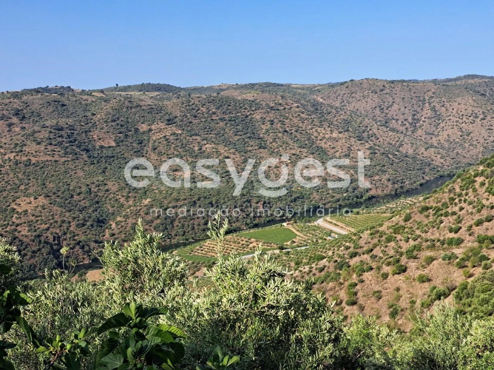 Terreno para Venda em Poiares Foto 15