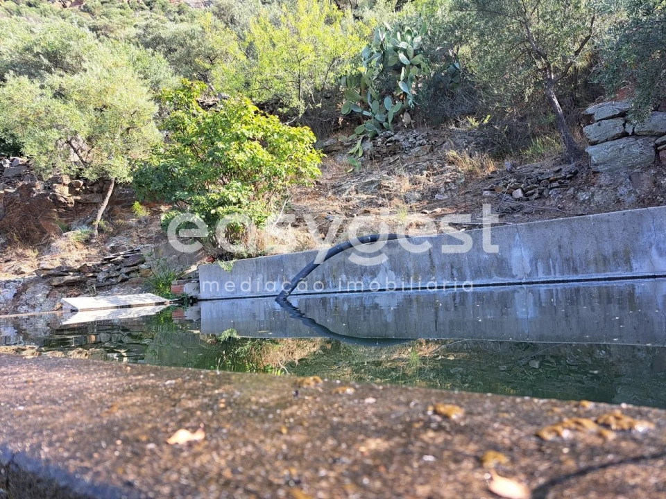 Terreno para Venda em Poiares Foto 17