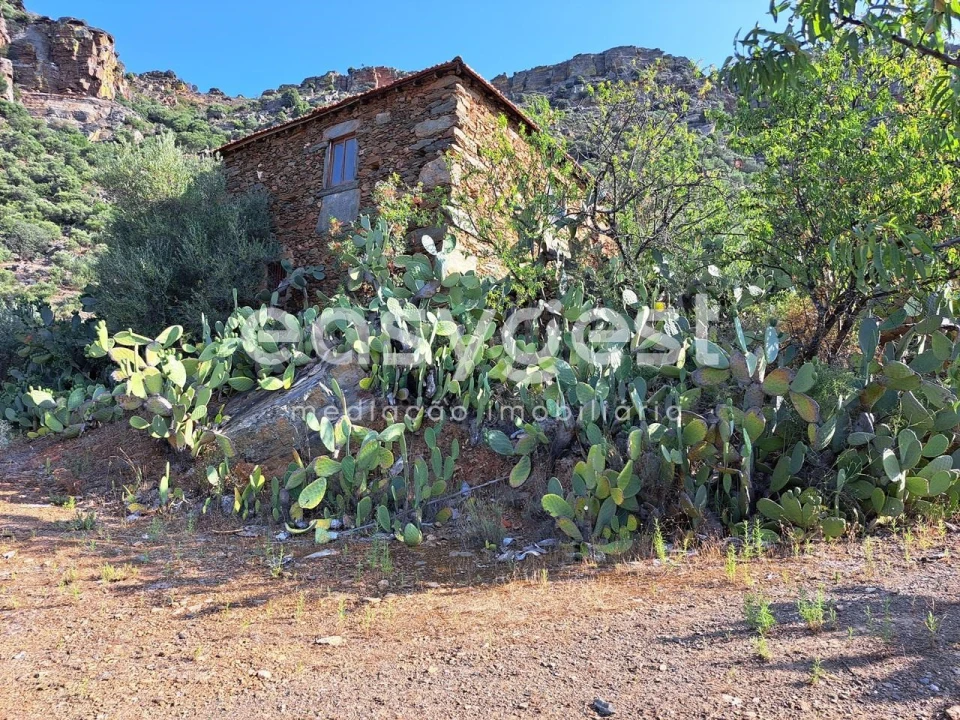 Terreno para Venda em Poiares Foto 18