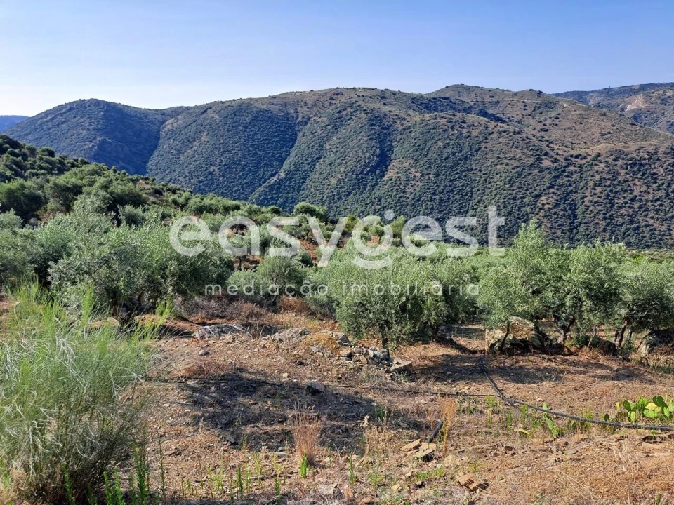 Terreno para Venda em Poiares Foto 20