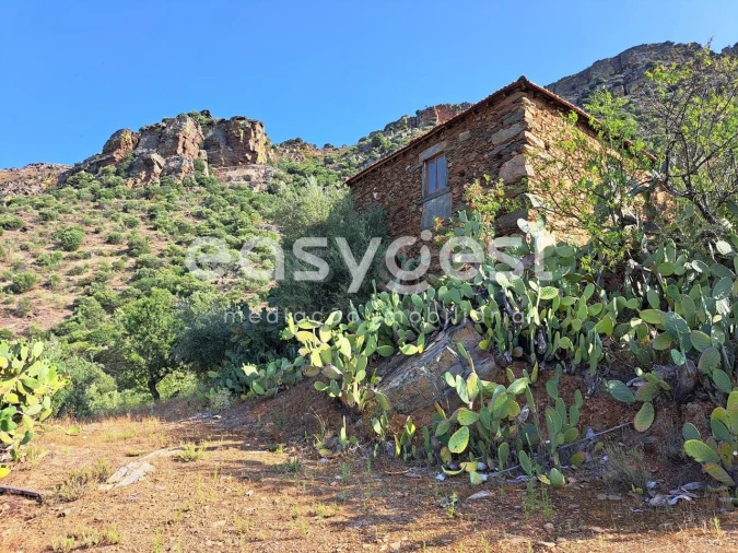 Terreno para Venda em Poiares Foto 2