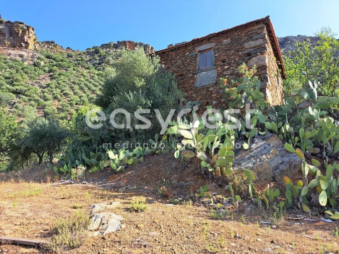 Terreno para Venda em Poiares Foto 4