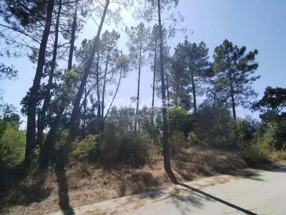 Terreno para Venda em Serra e Junceira Foto 1