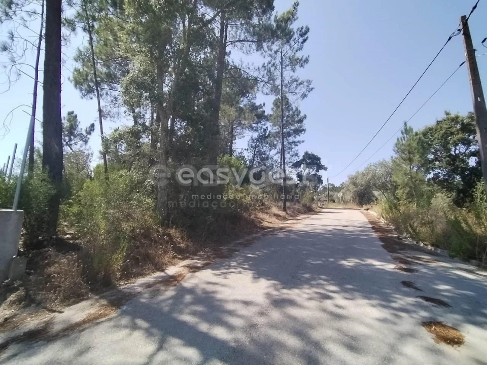 Terreno para Venda em Serra e Junceira Foto 2