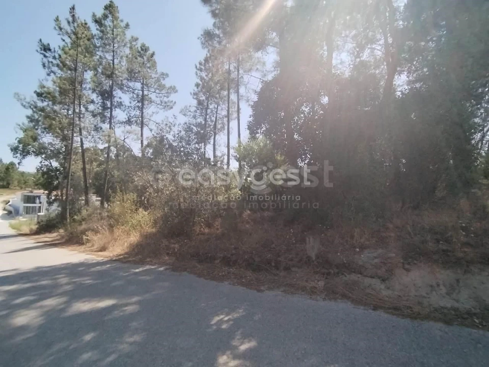 Terreno para Venda em Serra e Junceira Foto 8