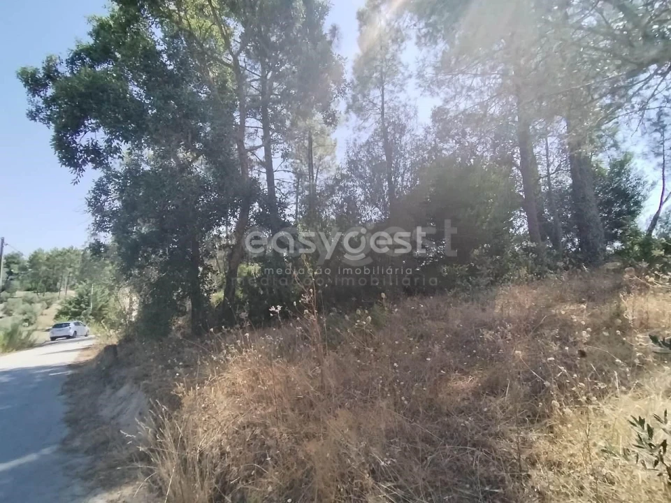 Terreno para Venda em Serra e Junceira Foto 11