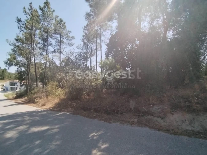 Terreno para Venda em Serra e Junceira Foto 8