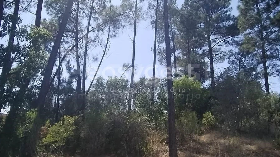 Terreno para Venda em Serra e Junceira