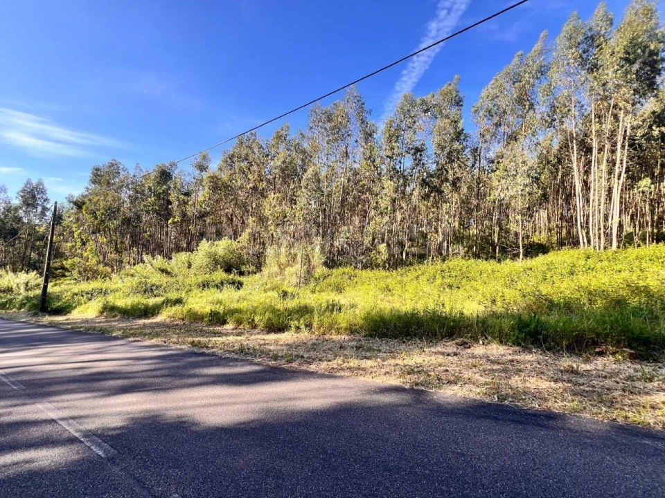 Terreno para Venda em Beco Foto 4
