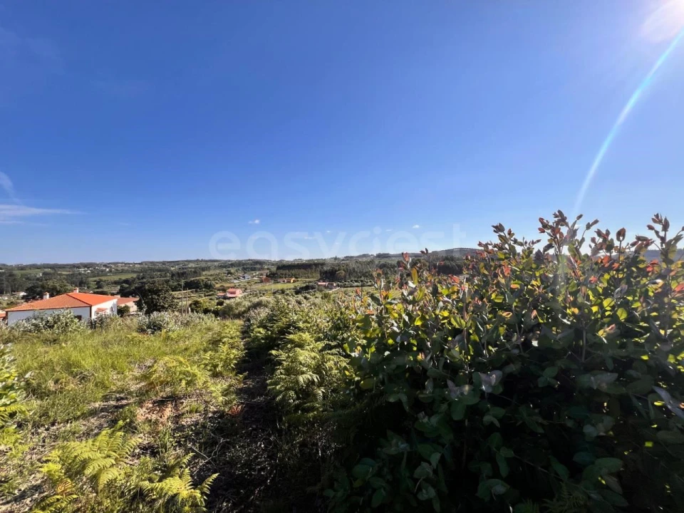Terreno para Venda em Beco Foto 20