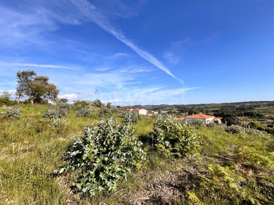 Terreno para Venda em Beco Foto 22