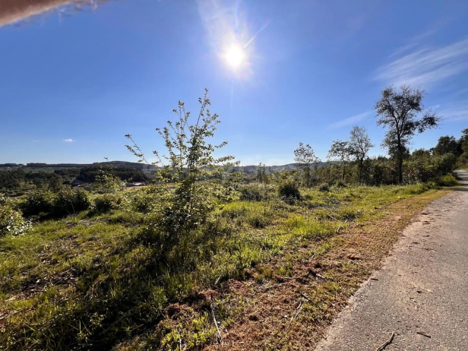 Terreno para Venda em Beco Foto 25