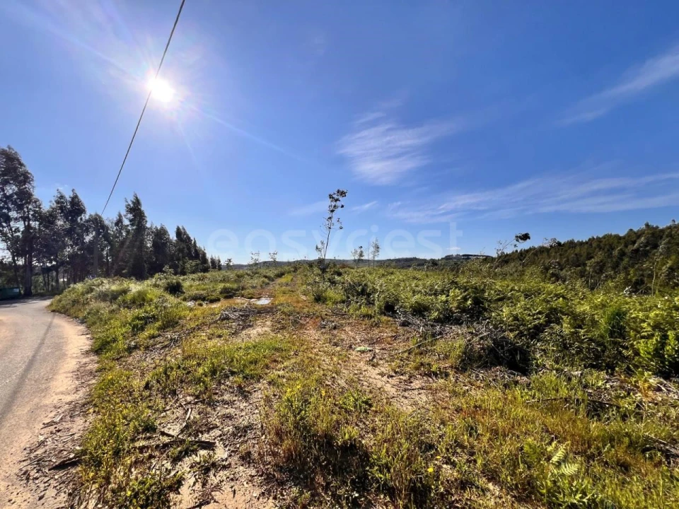 Terreno para Venda em Beco Foto 28