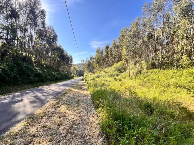 Terreno para Venda em Beco Foto 8