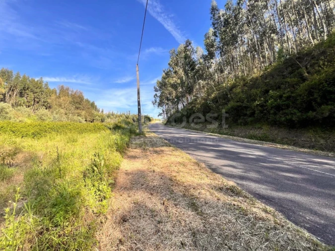 Terreno para Venda em Beco Foto 10