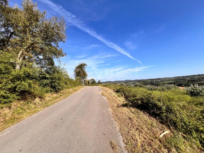 Terreno para Venda em Beco Foto 24