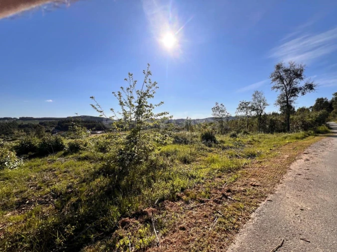 Terreno para Venda em Beco Foto 25