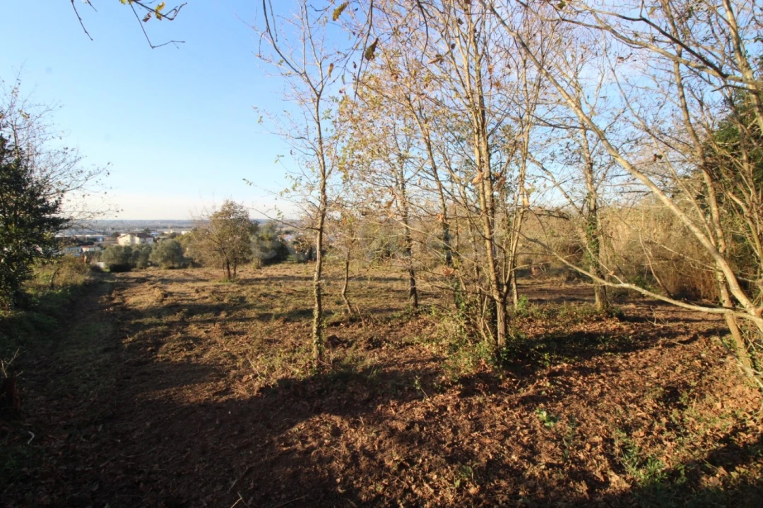 Terreno para Venda em Taveiro, Ameal e Arzila Foto 2