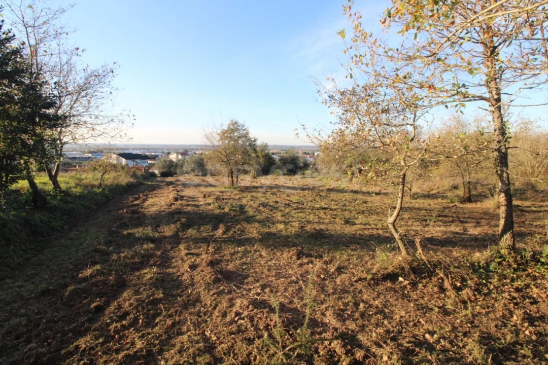 Terreno para Venda em Taveiro, Ameal e Arzila Foto 3