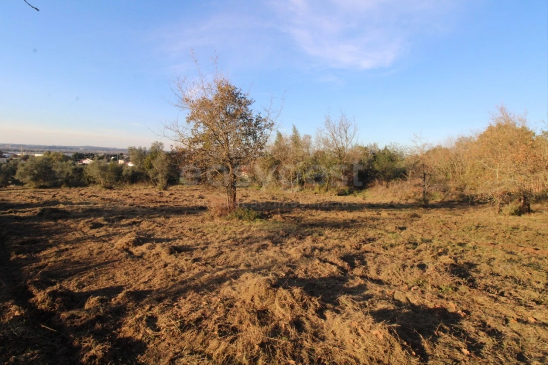 Terreno para Venda em Taveiro, Ameal e Arzila Foto 4