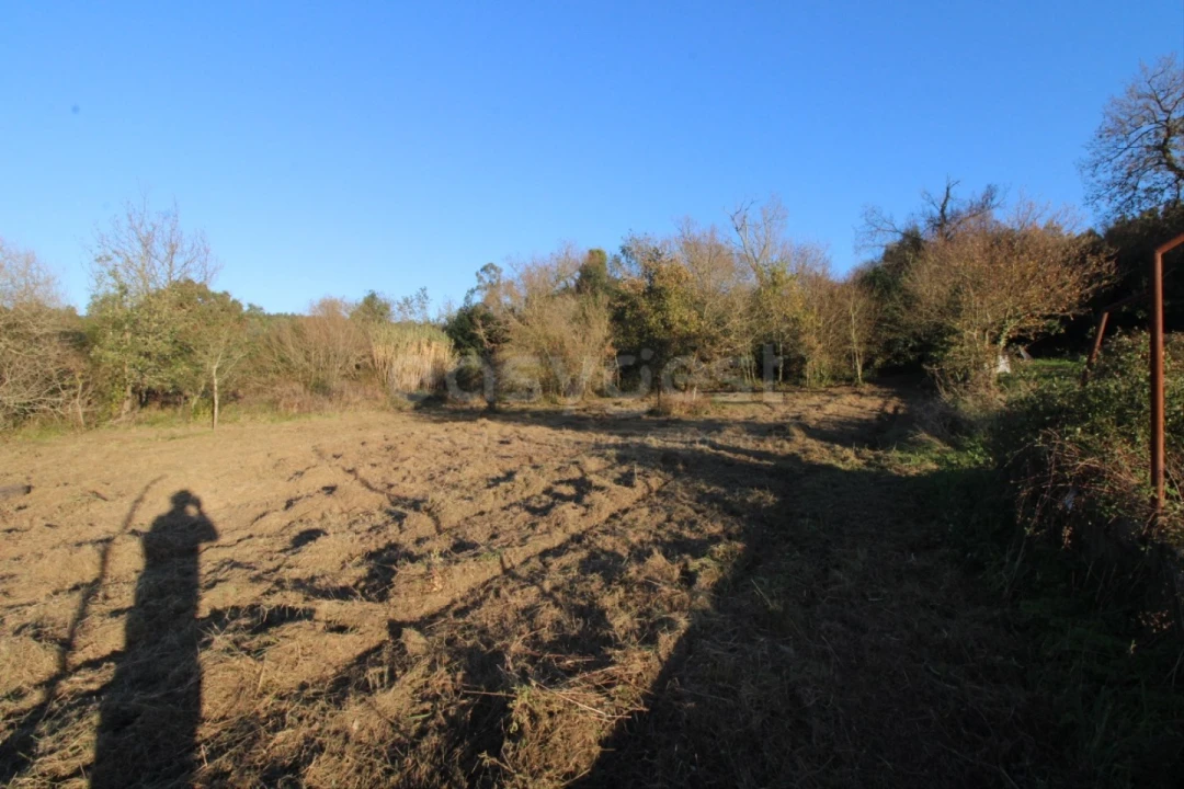 Terreno para Venda em Taveiro, Ameal e Arzila Foto 6
