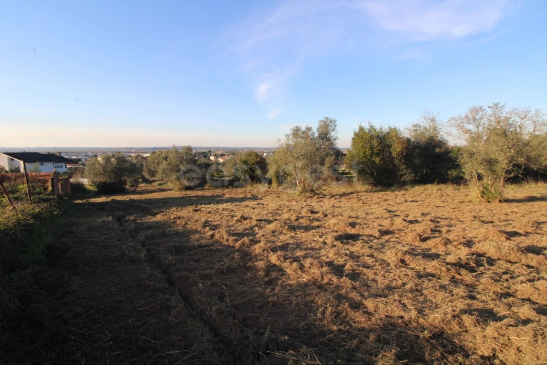 Terreno para Venda em Taveiro, Ameal e Arzila Foto 7