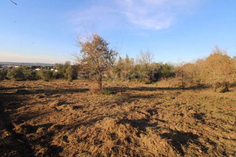 Terreno para Venda em Taveiro, Ameal e Arzila Foto 4