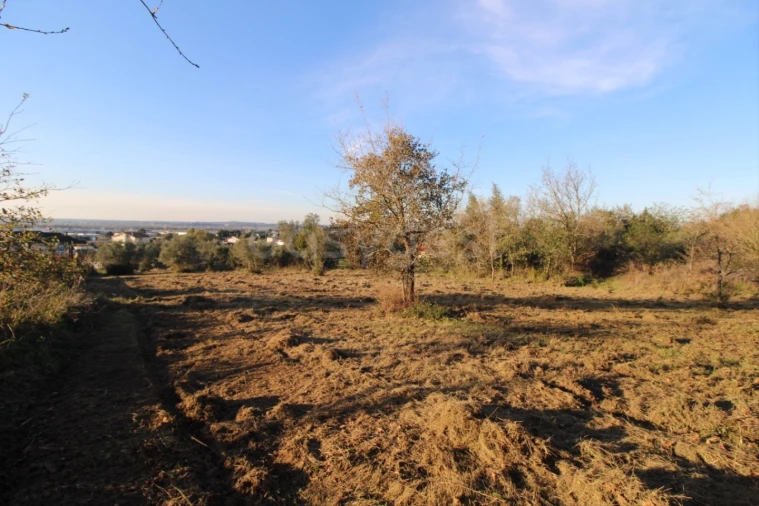 Terreno para Venda em Taveiro, Ameal e Arzila Foto 5