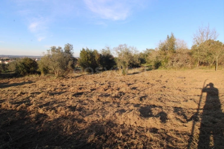 Terreno para Venda em Taveiro, Ameal e Arzila Foto 8