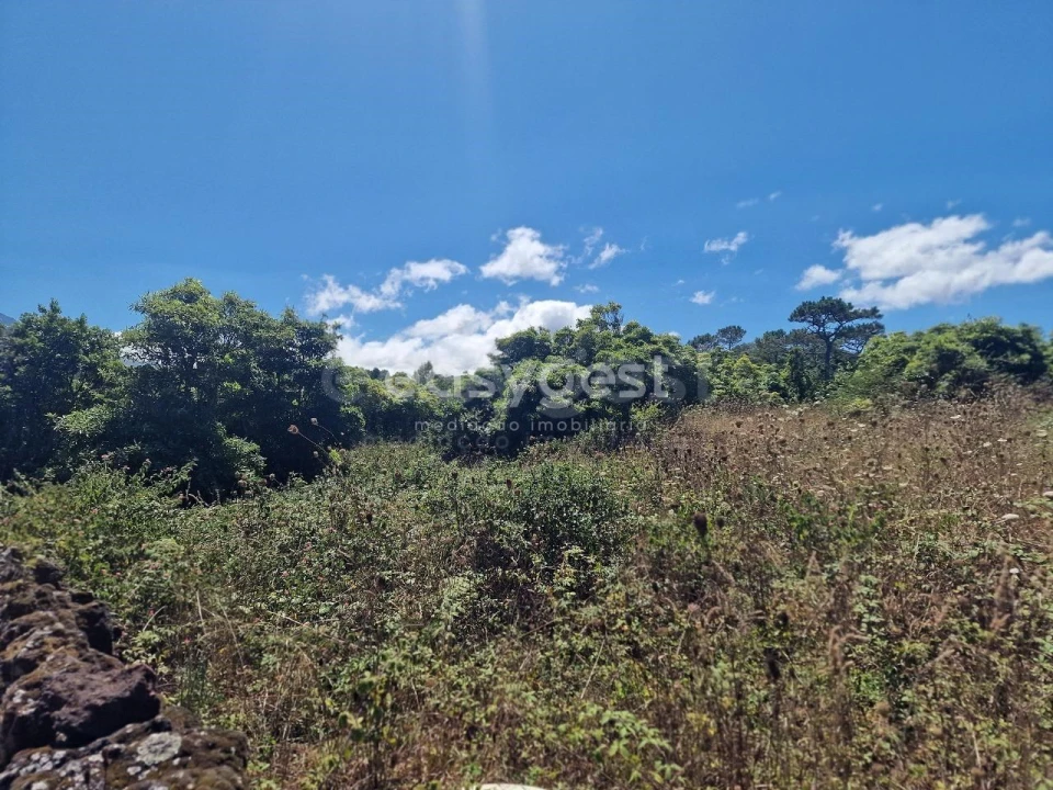 Terreno para Venda em Madalena Foto 3