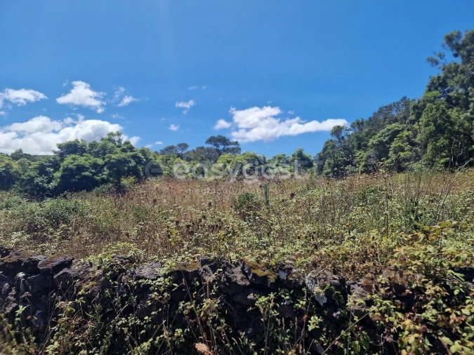 Terreno para Venda em Madalena Foto 2