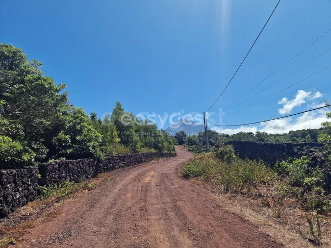Terreno para Venda em Madalena Foto 6