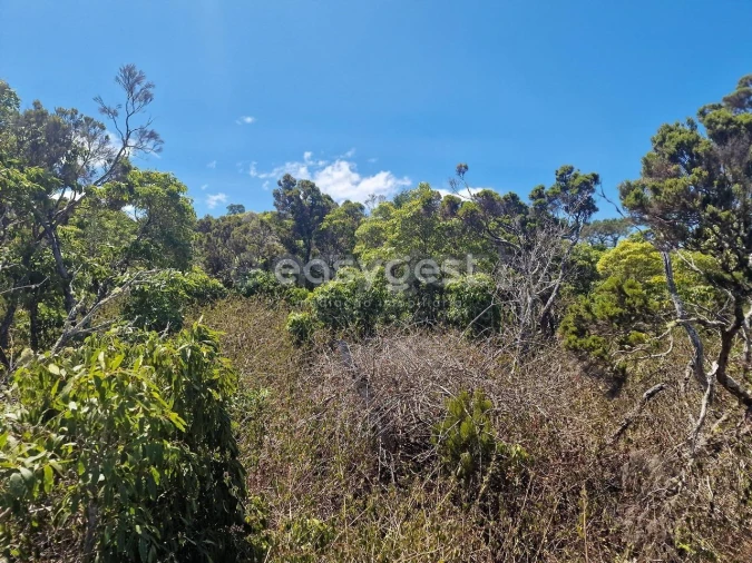 Terreno para Venda em Madalena Foto 12