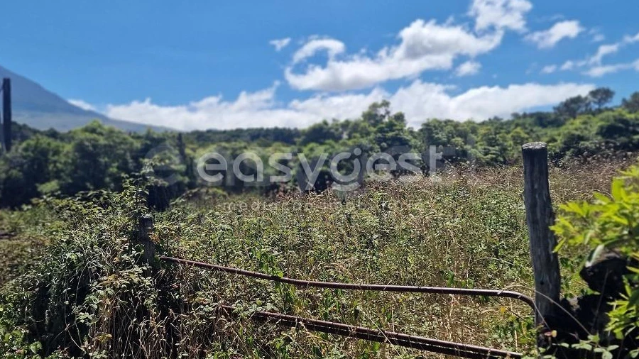 Terreno para Venda em Madalena