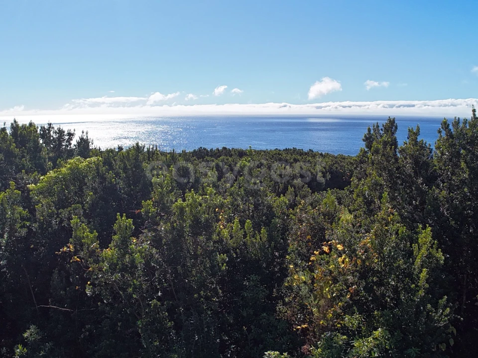Terreno para Venda em São Mateus Foto 1