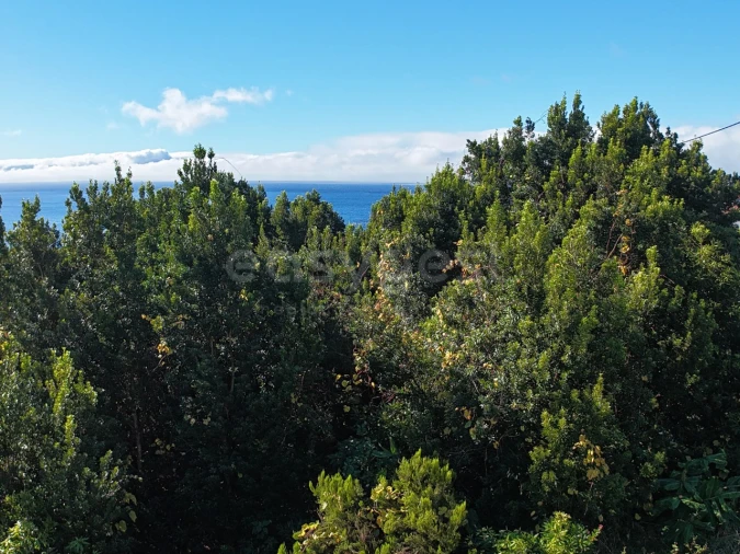 Terreno para Venda em São Mateus Foto 2