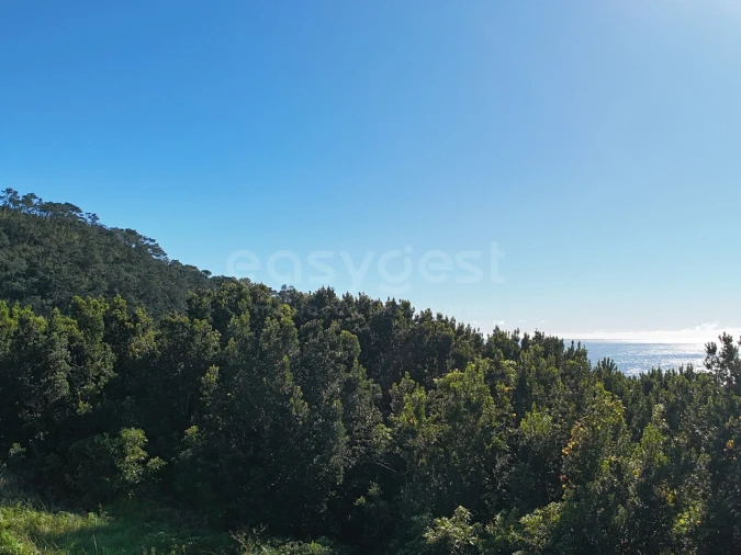 Terreno para Venda em São Mateus Foto 7