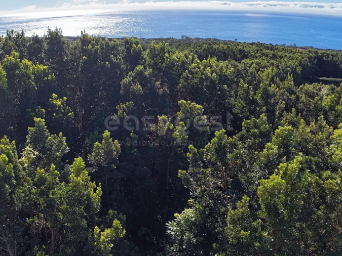 Terreno para Venda em São Mateus Foto 8