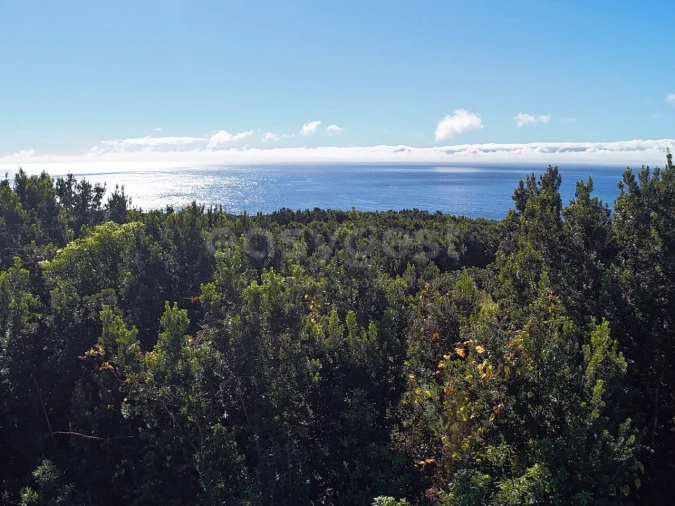 Terreno para Venda em São Mateus Foto 9