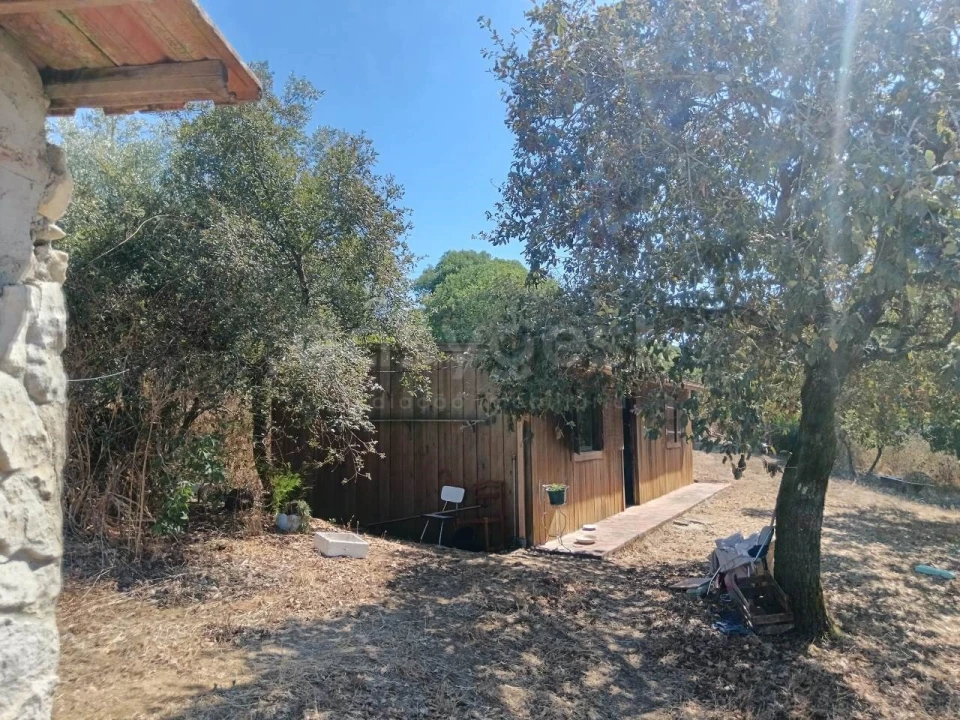 Terreno para Venda em Evora de Alcobaça Foto 15