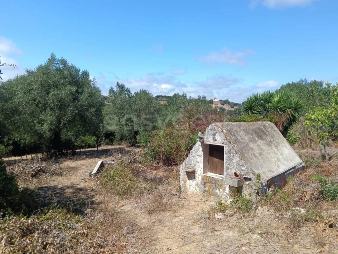 Terreno para Venda em Evora de Alcobaça Foto 9