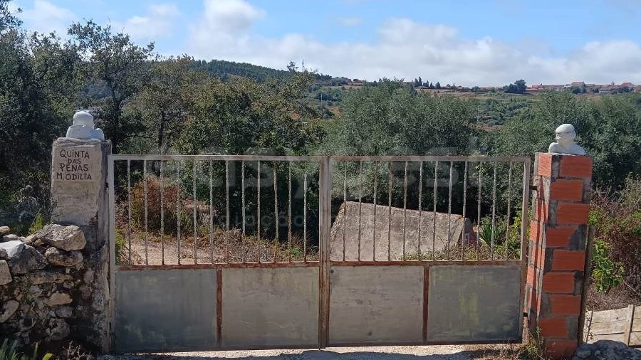 Terreno para Venda em Evora de Alcobaça