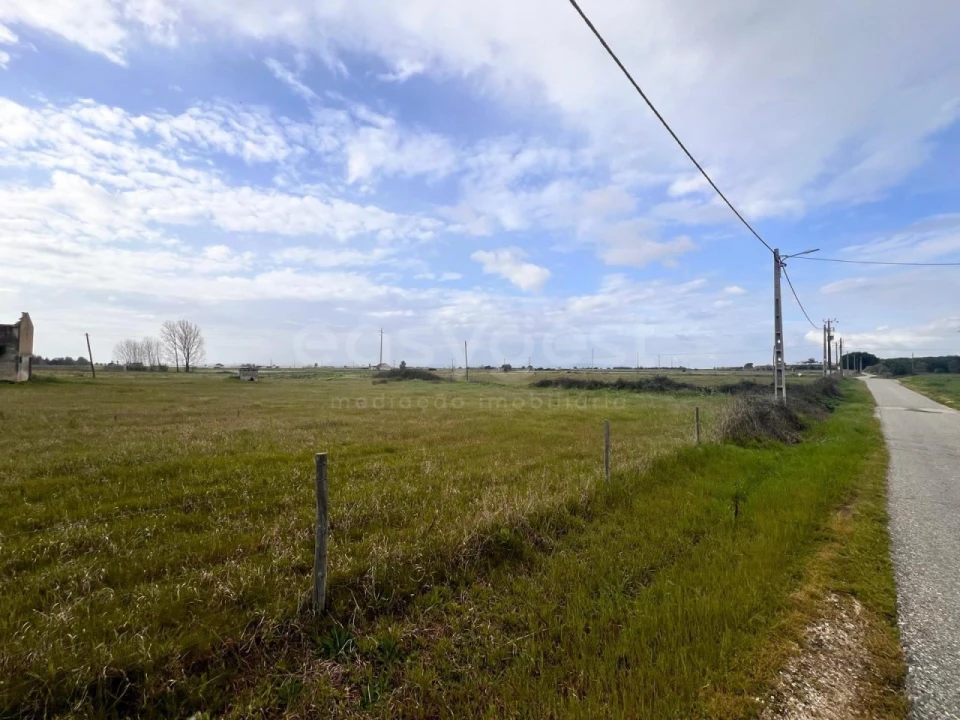 Terreno para Venda em Alpiarça Foto 1