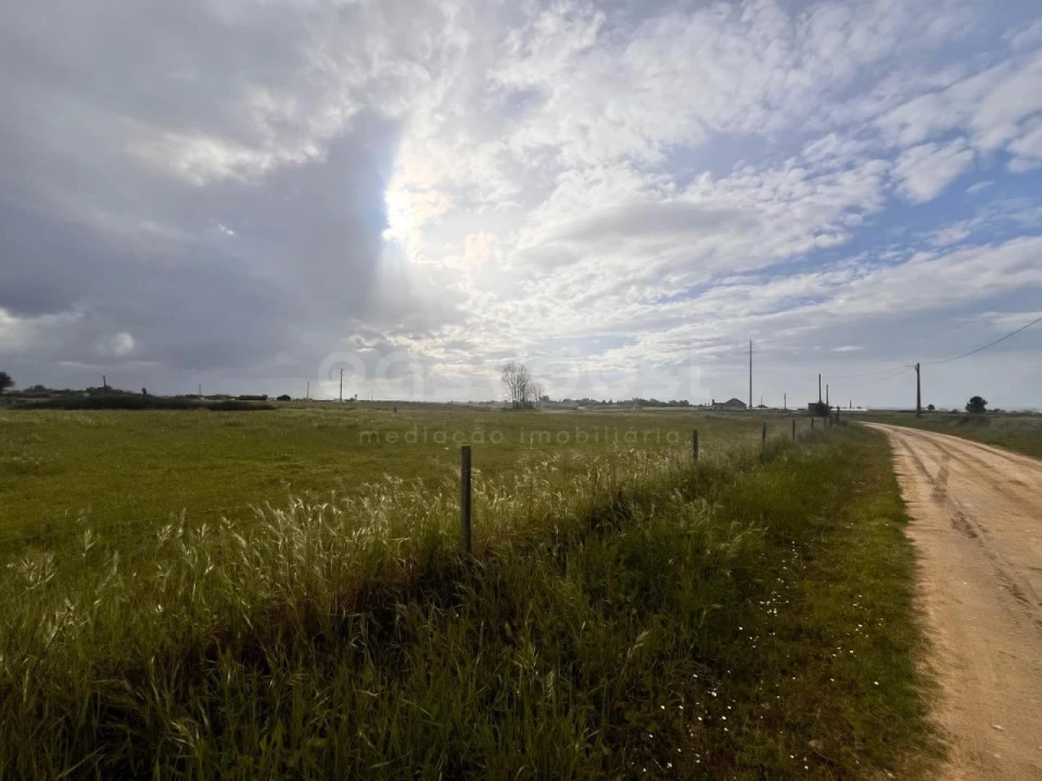 Terreno para Venda em Alpiarça Foto 3