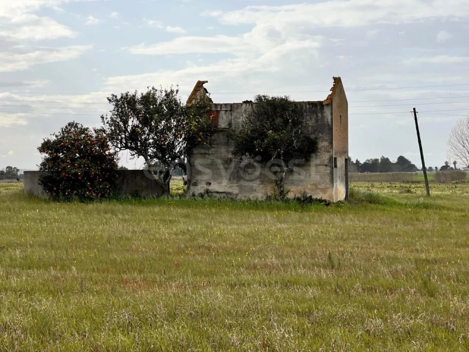 Terreno para Venda em Alpiarça Foto 4