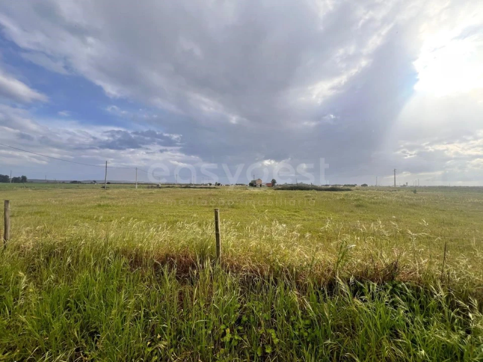 Terreno para Venda em Alpiarça Foto 5