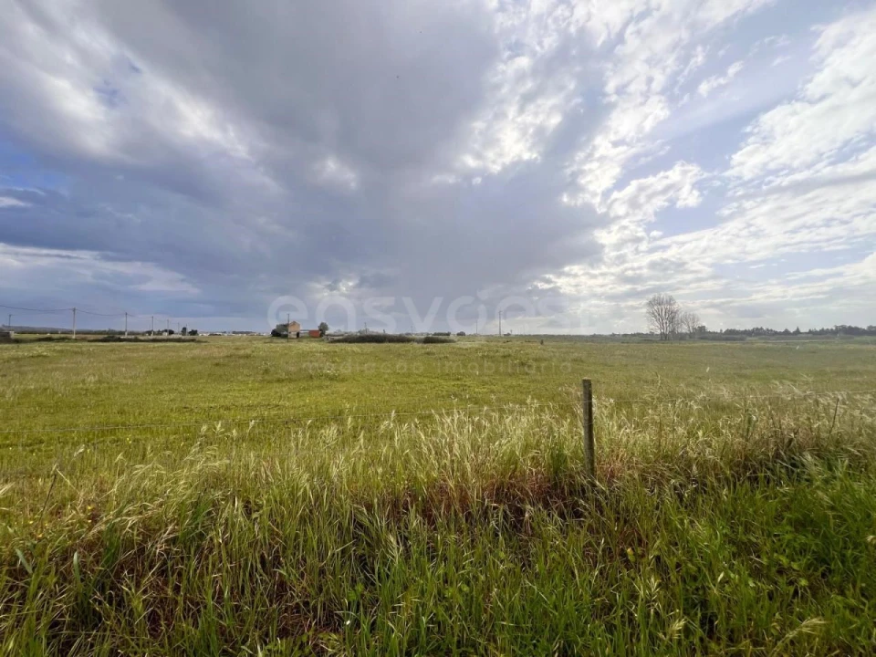 Terreno para Venda em Alpiarça Foto 7