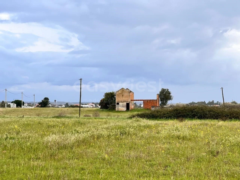 Terreno para Venda em Alpiarça Foto 11