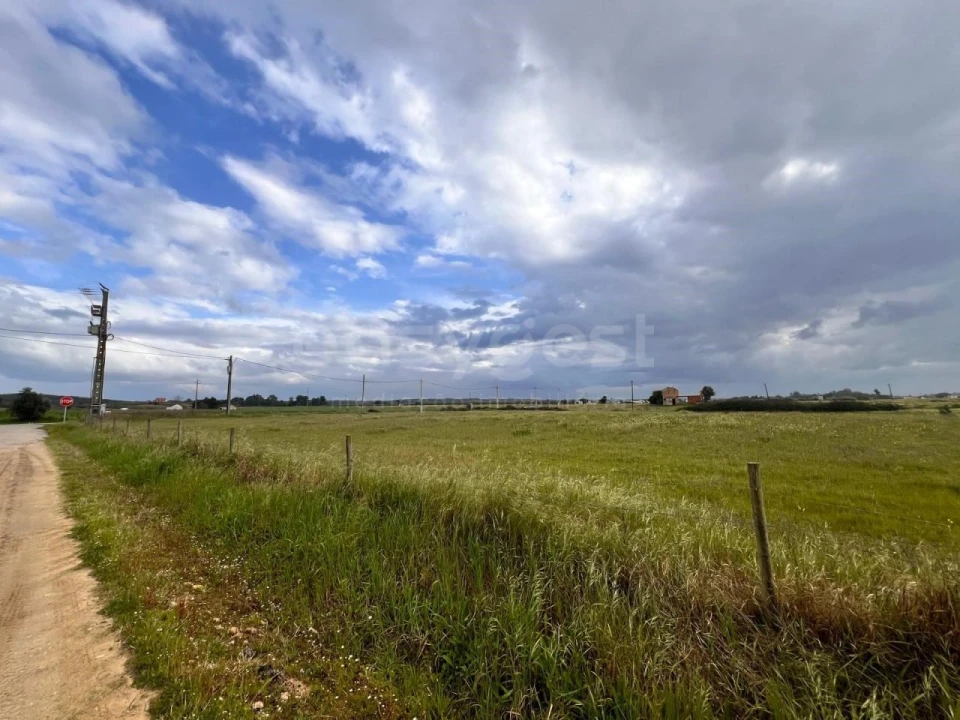 Terreno para Venda em Alpiarça Foto 14